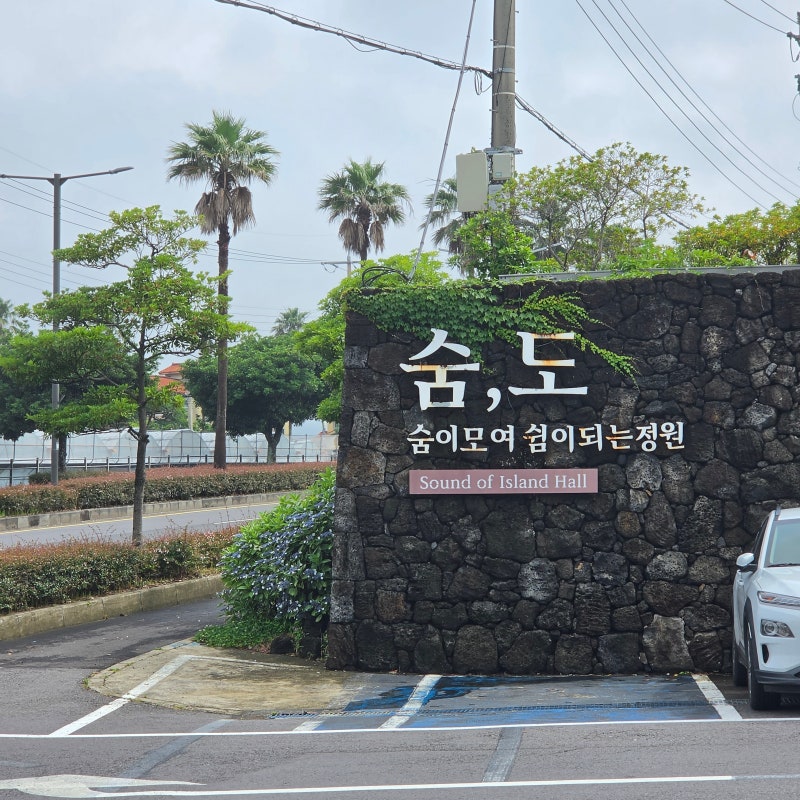 [제주 서귀포] 숨도, 수국이 예쁜 야외정원과 카페까지 여름에 꼭 가볼 만한 곳(+펜션 있음)