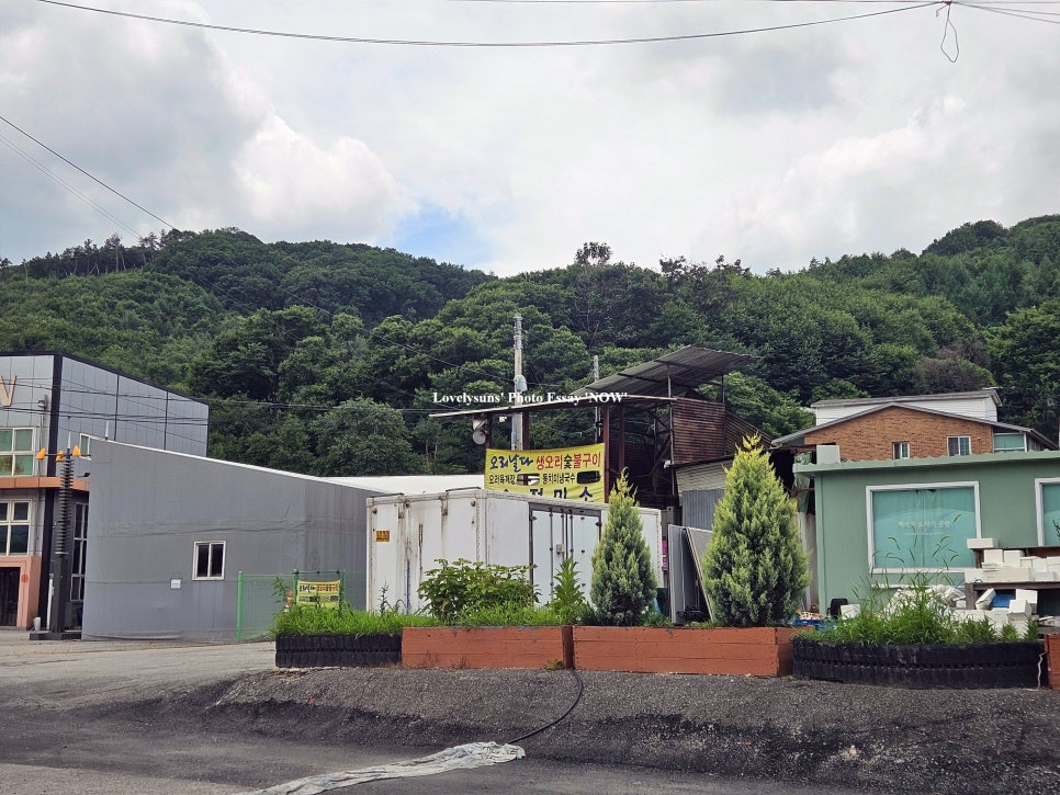오리날다 사진 2