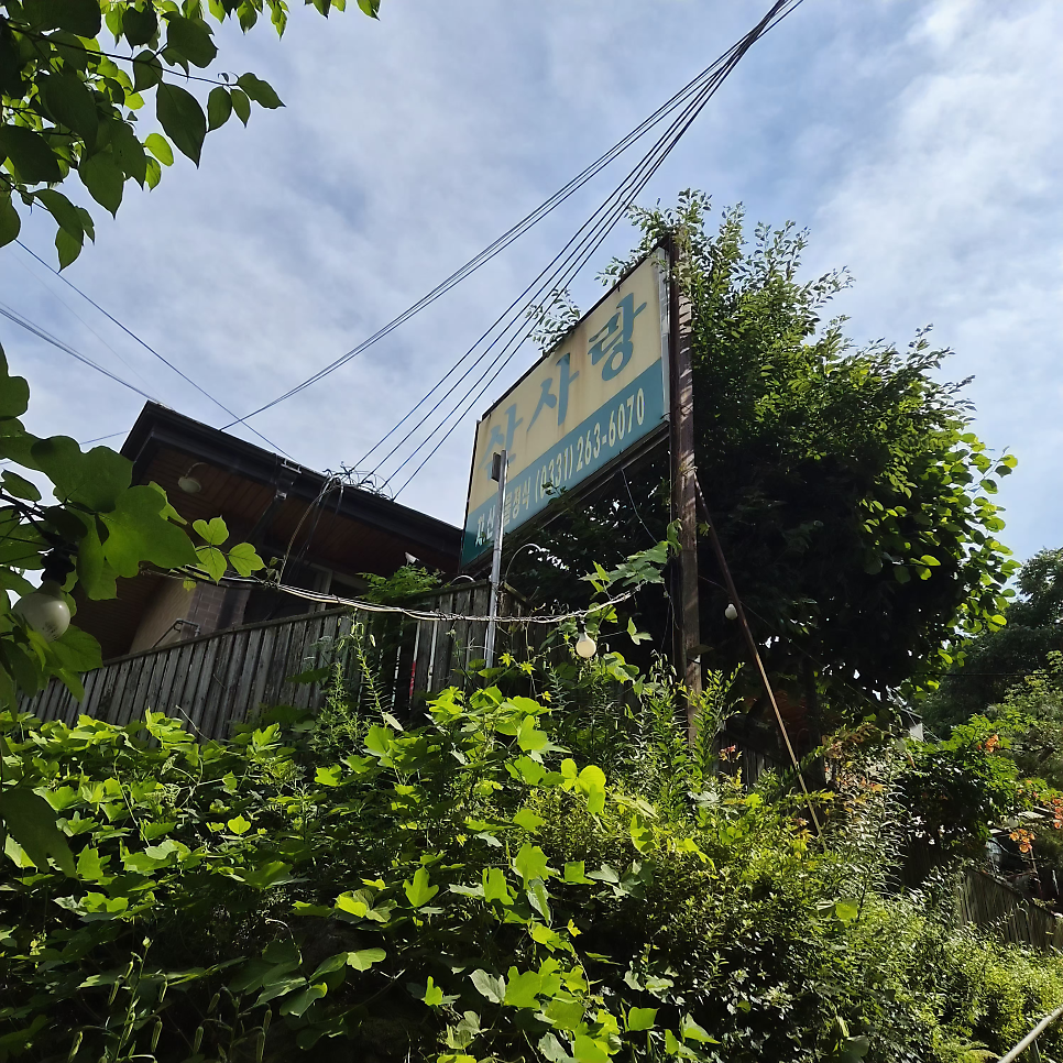 산사랑 사진 1
