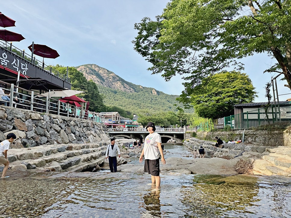 계룡산콘도텔 사진 6