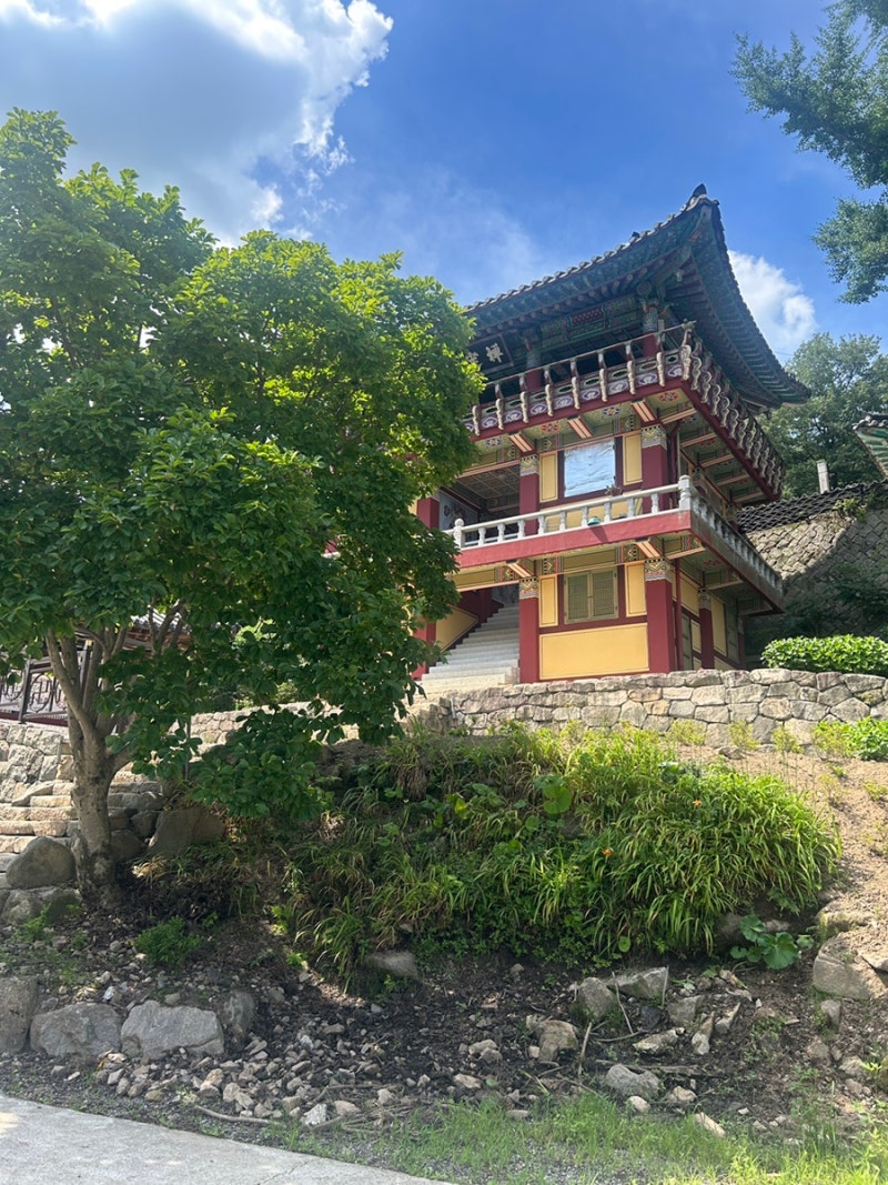 대구 ·경산 선본사 청춘 템플스테이 체험기록｜팔공산 갓바위