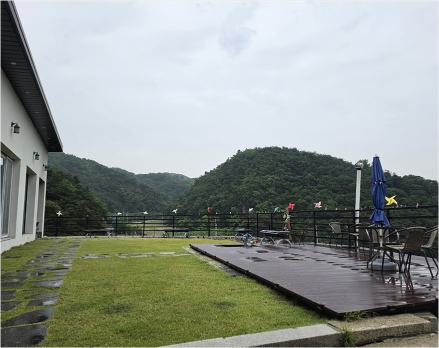첼로 사진 4