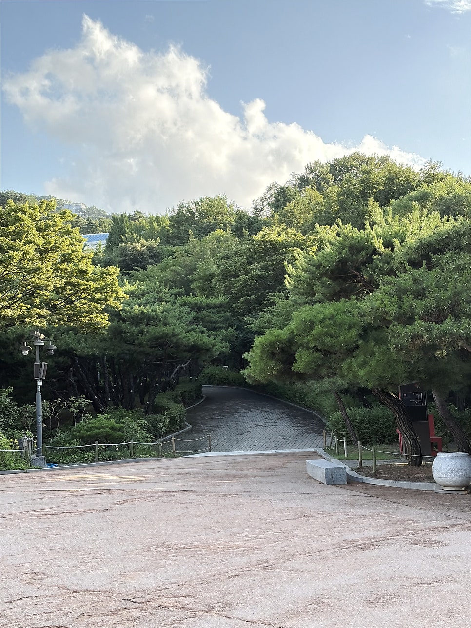 카페허블&남산책방 사진 4