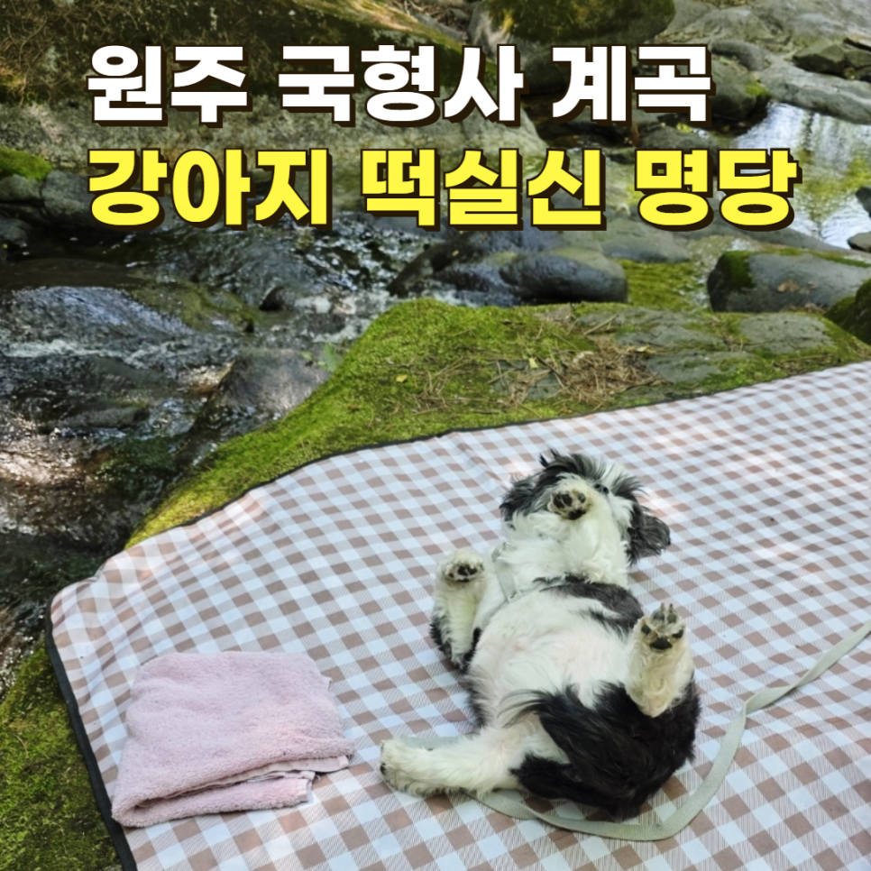 국형사계곡 사진 1