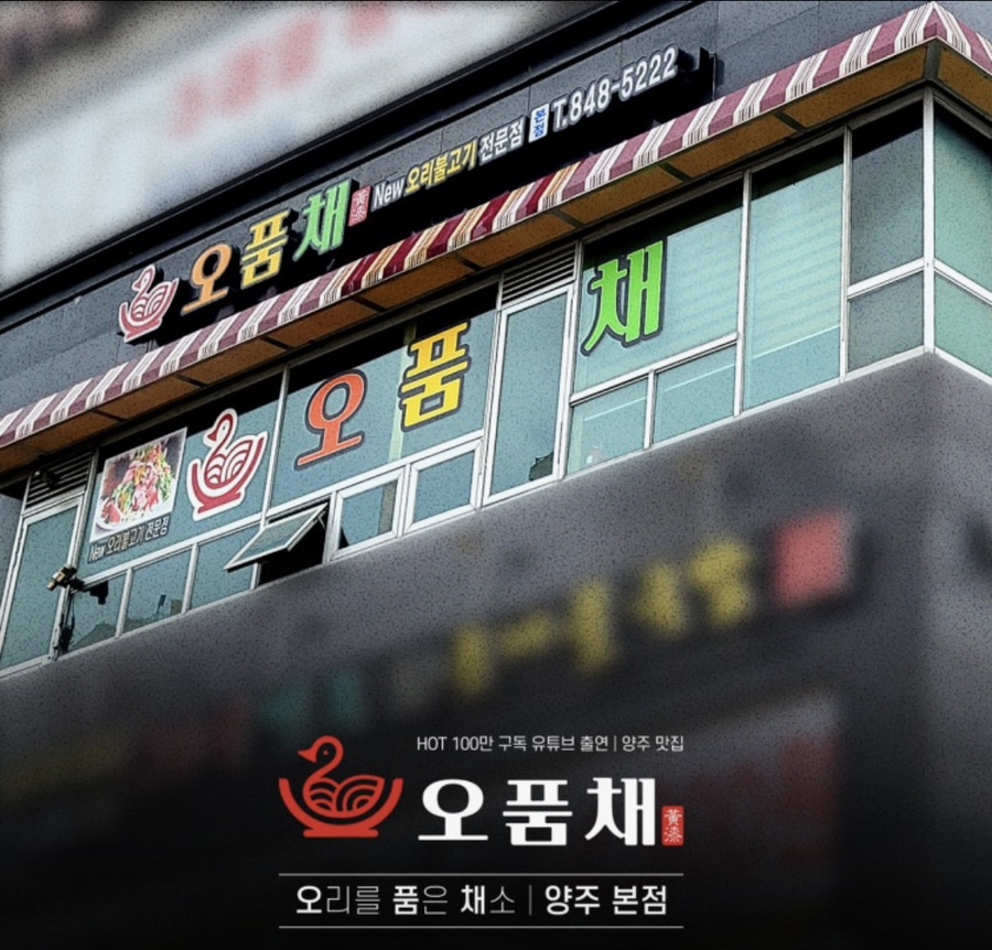 오품채 사진 2
