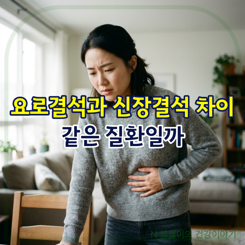 요로결석과 신장결석 차이, 같은 질환일까?
