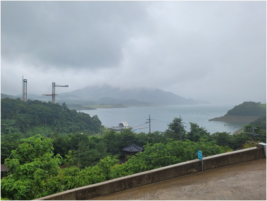 첼로 사진 5