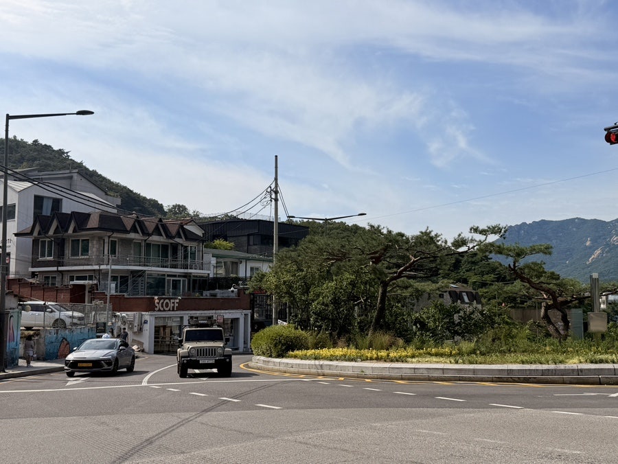소마 사진 2