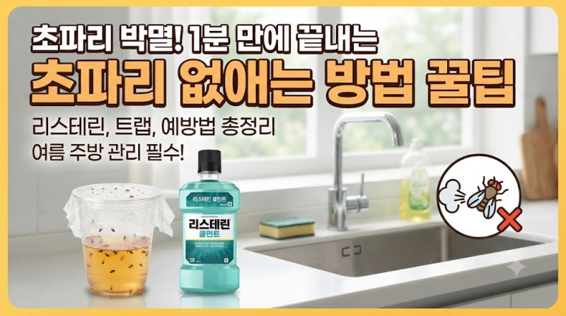 초파리 없애는 방법 총정리! 리스테린 퇴치제 효과부터 초파리 생기는 이유·예방법까지