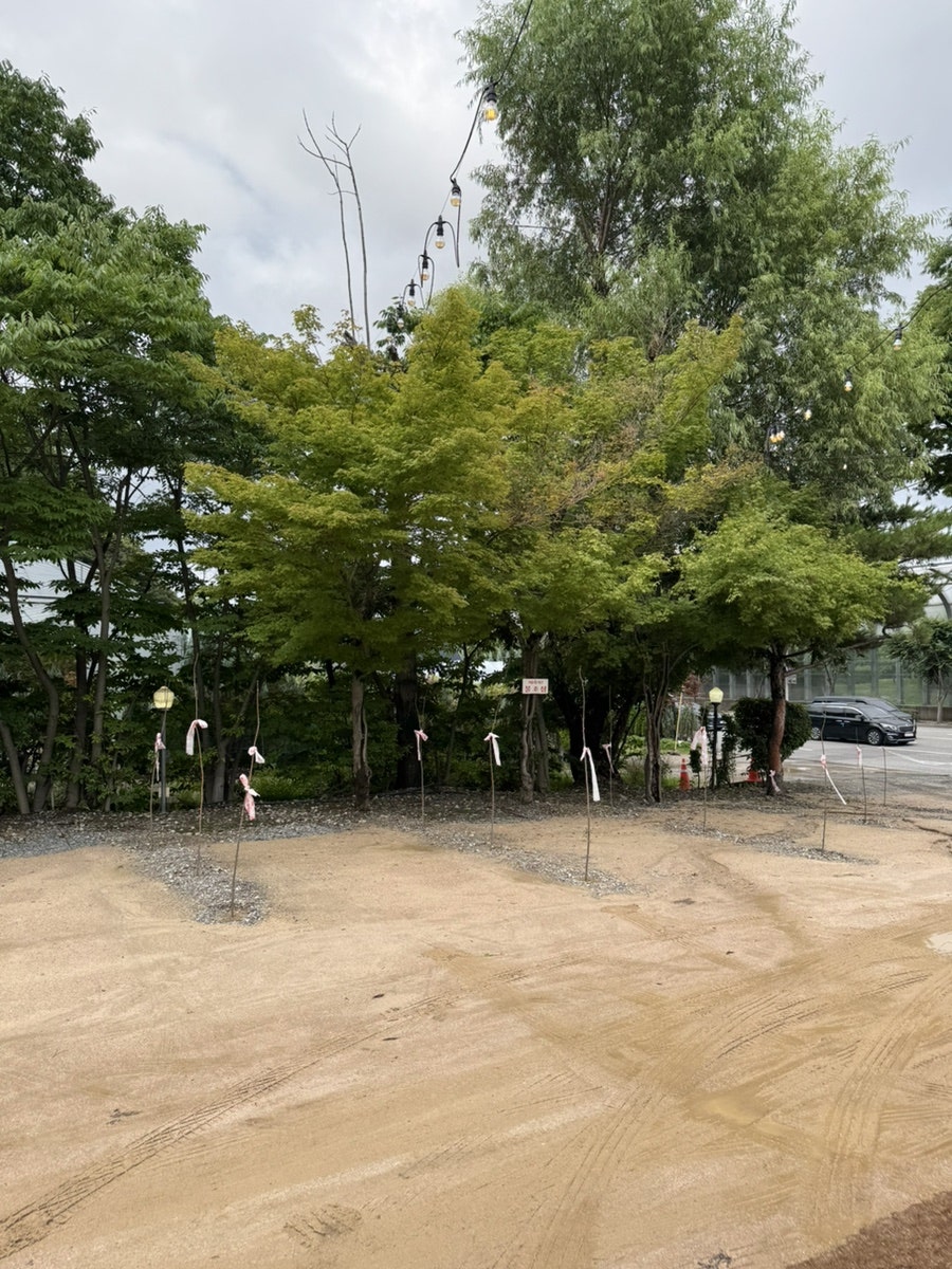 좋구먼 과천점 사진 2