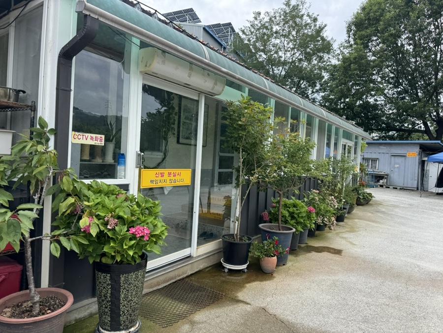 금산삼계탕 사진 6