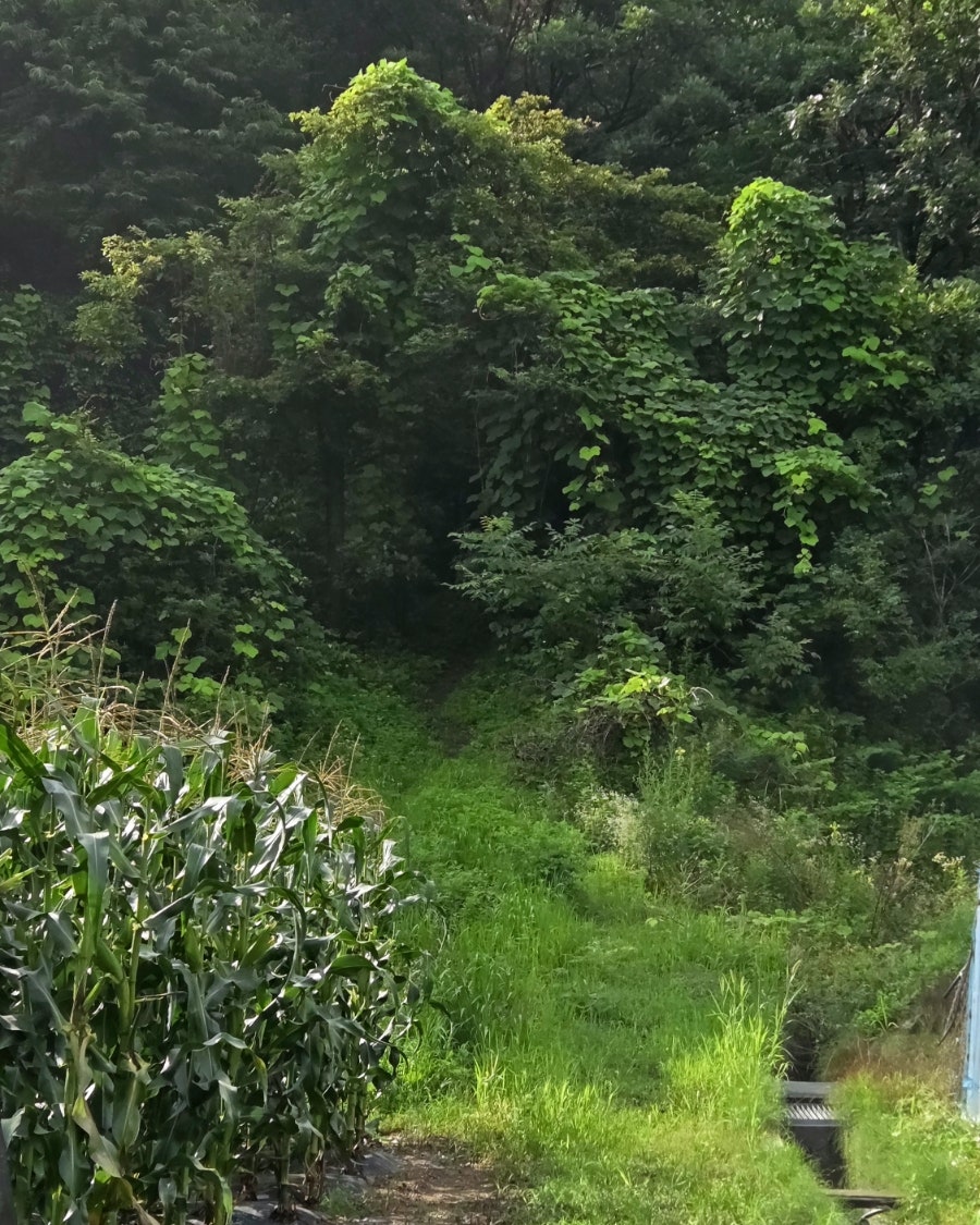 Samaksan Pokpo photo 5