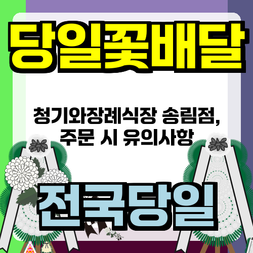 청기와 사진 5