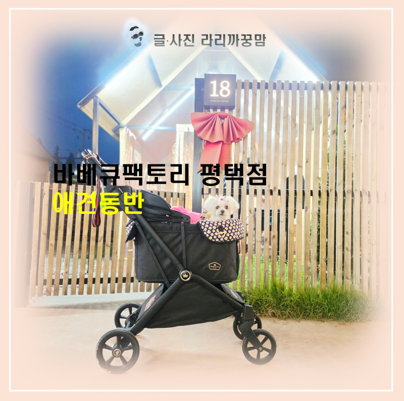 바베큐팩토리 평택점 애견동반 글램핑식당, 꿍이와 오붓한 야경 데이트