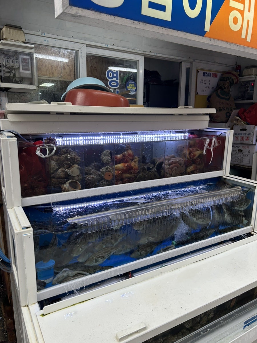 영심이해산물 사진 3
