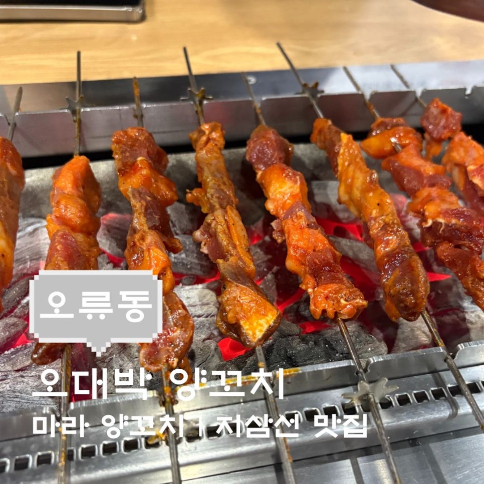 오대박양꼬치 오류본점 사진 1