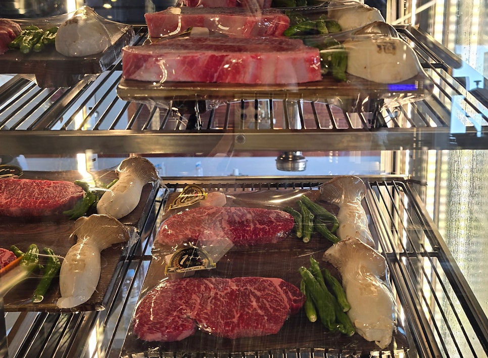 청담 백송 사진 3