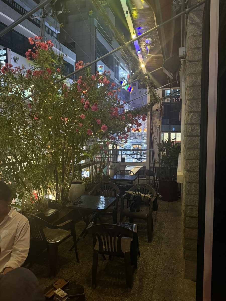 뎅기피버 사진 5