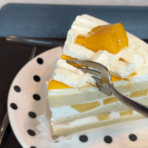오목교역 카페 케이크 디저트 맛집 모아즈 MOIIZ 행복한 세상