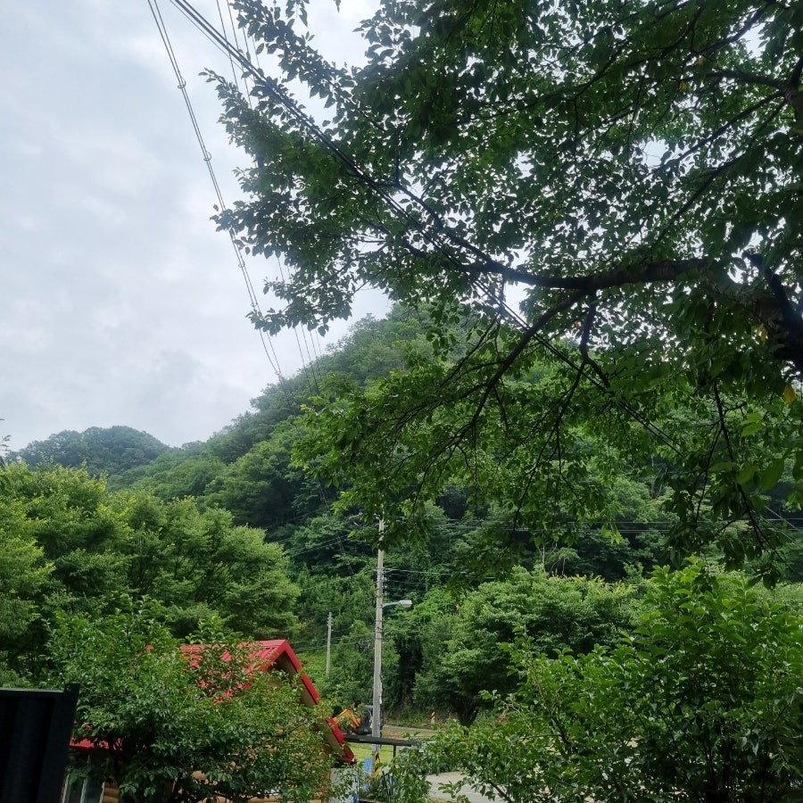 오가네펜션 사진 1
