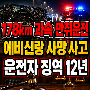 두 딸 태우고 시속 178km 만취운전 후 사망사고 낸 운전자, 징역 12년에 아동학대까지 적용된 ....