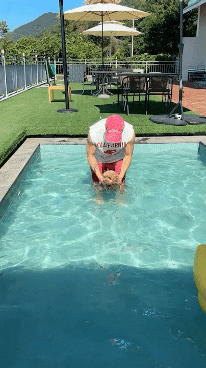 Yeosu Pet-Friendly Travel: Ocean View Pool at Dasibom Pension Room 103 (Recommended Itinerary)