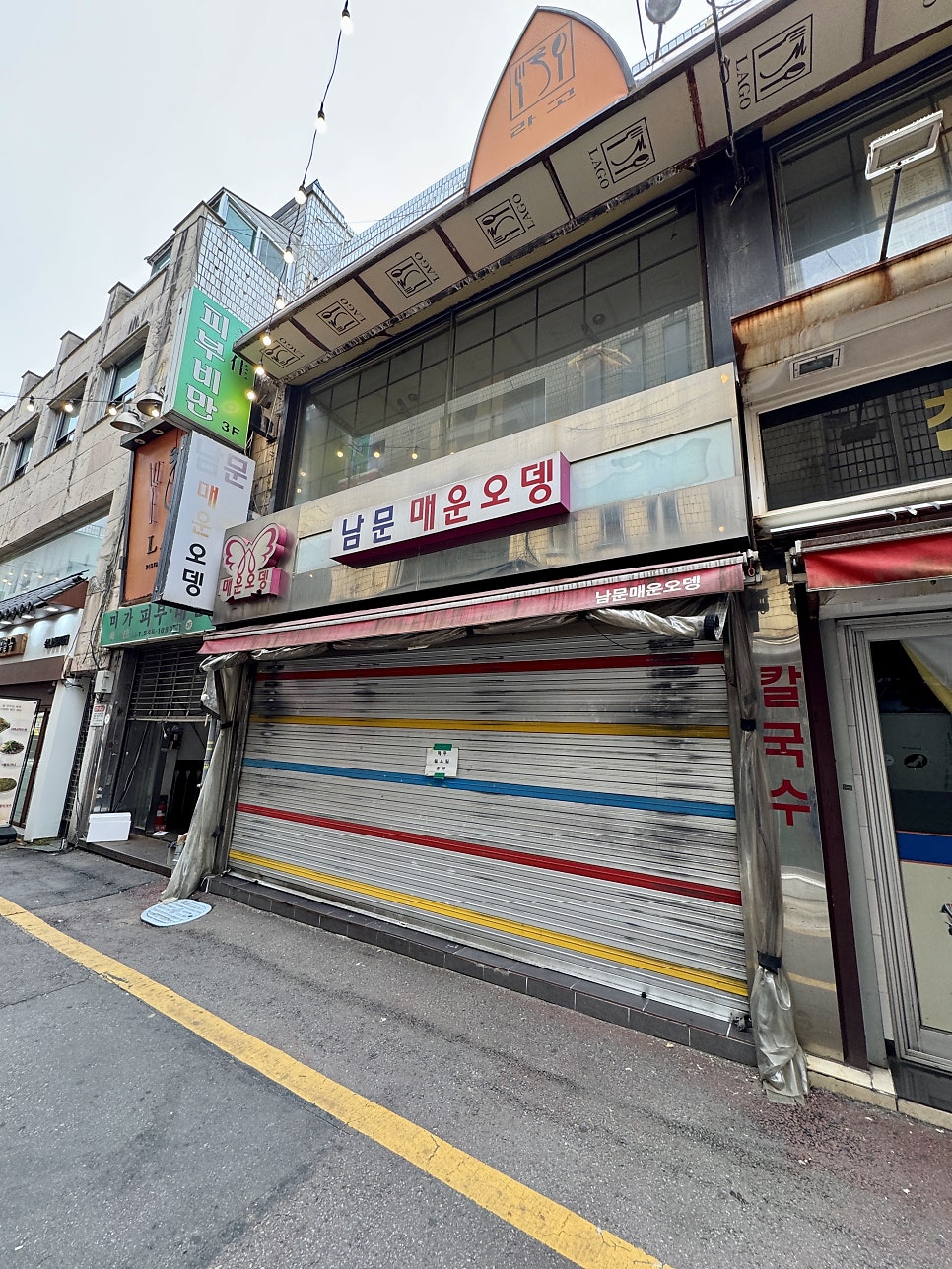 코끼리만두 사진 5