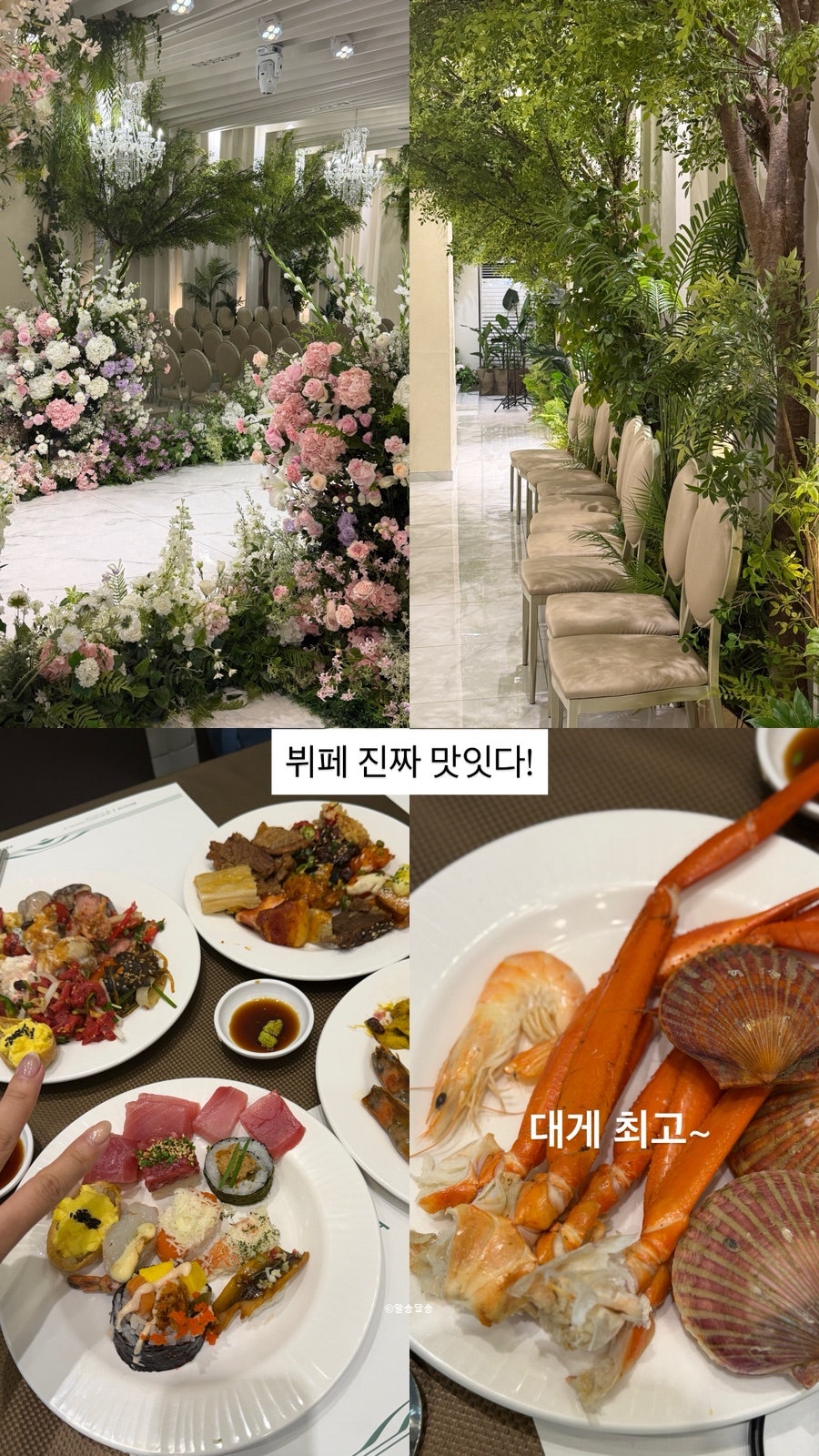 엘로라인가든 사진 2