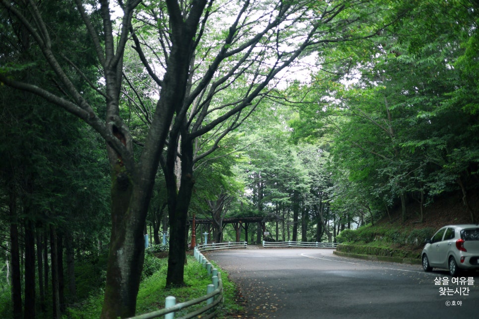 꿈의동산 놀이공원 사진 5