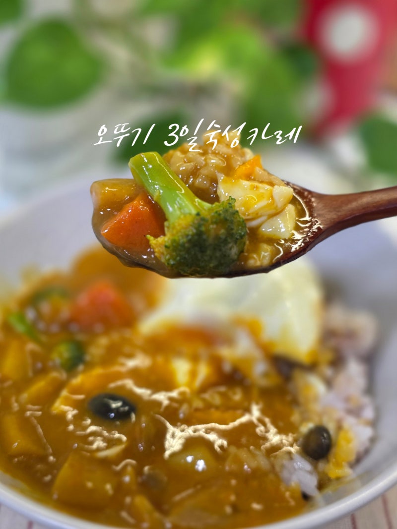오뚜기 3일 숙성카레 하모니 후기｜집에서도 카레 전문점처럼 부드러운 야채 카레 레시피
