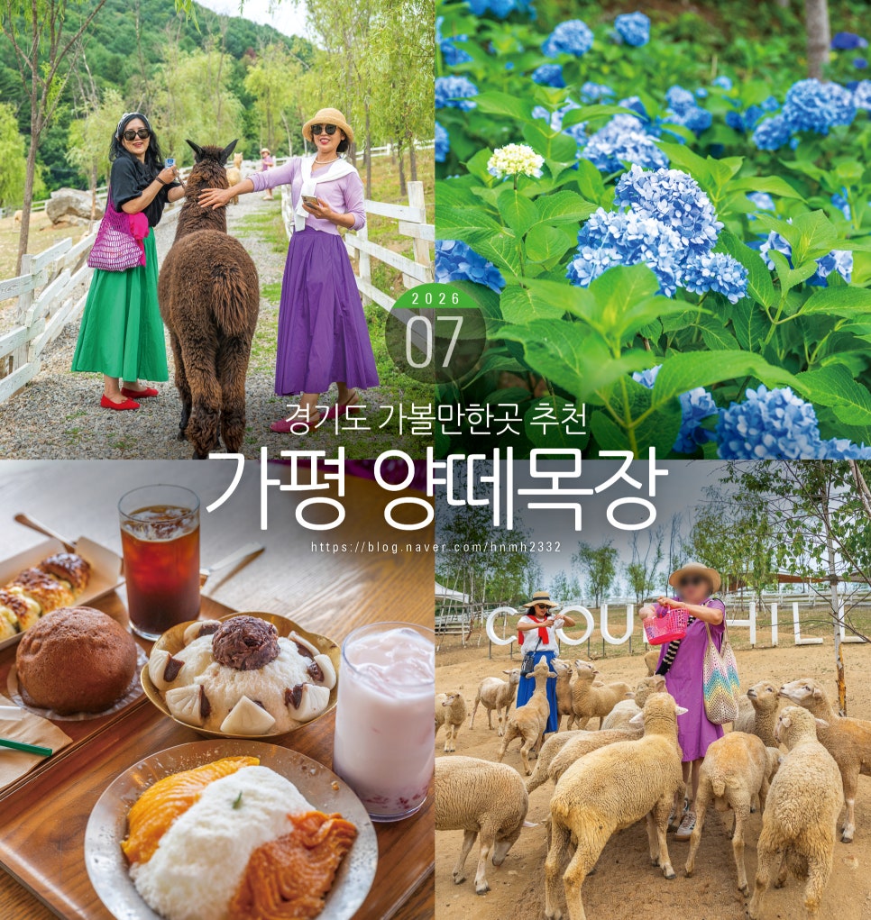 카페평화 사진 1