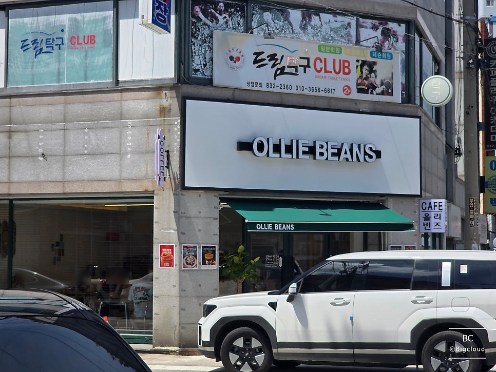 올리빈즈 사진 4