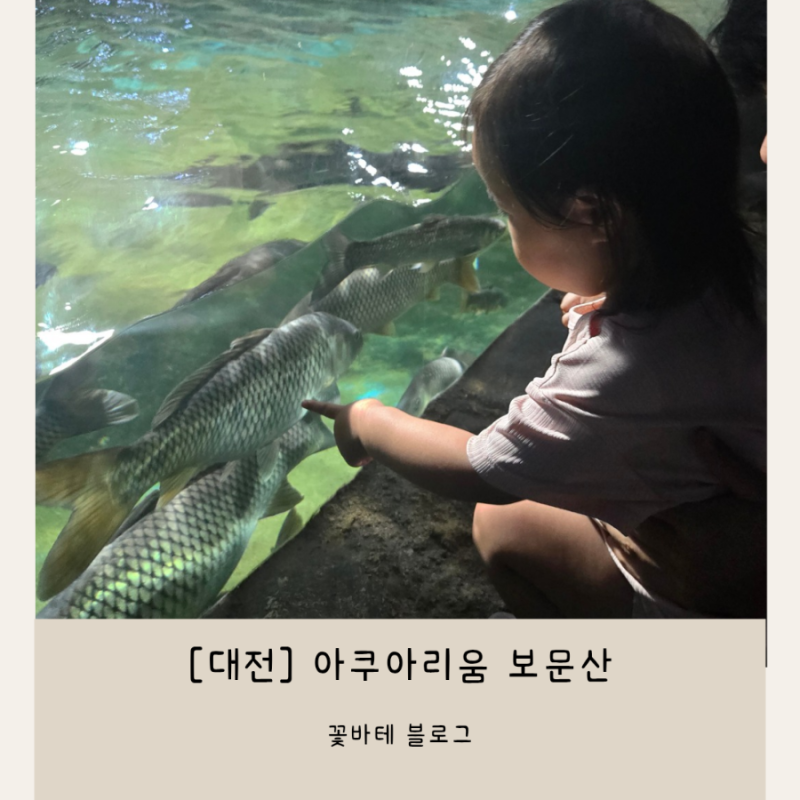 [대전] 20개월 아기랑 가볼만한 곳 : 대전 보문산 아쿠아리움