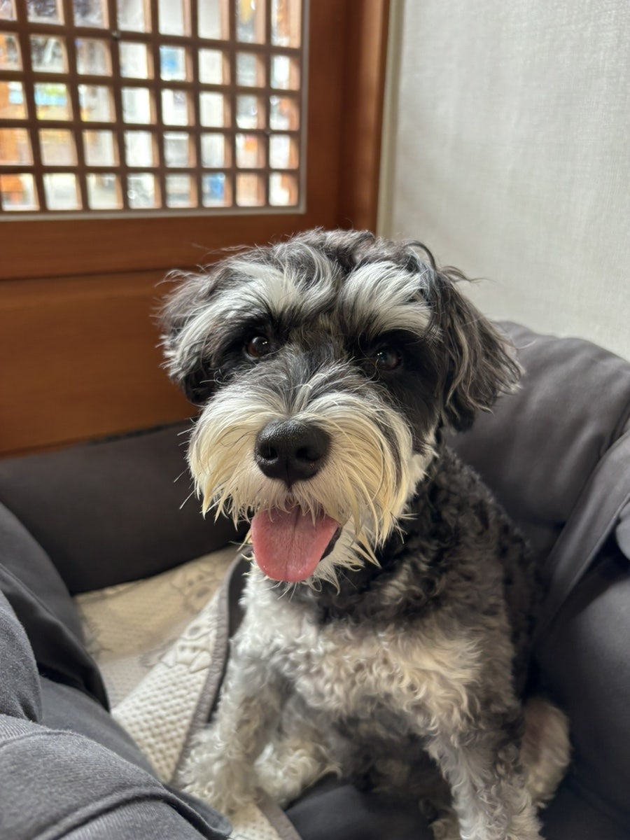 뜰안채 사진 5