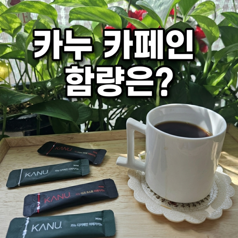 카누(KANU) 영양성분표에 카페인이 없는 이유? 직접 찾아본 카 카페인 함량과 카누 카페인 상....