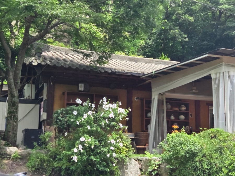 애마오리 사진 5