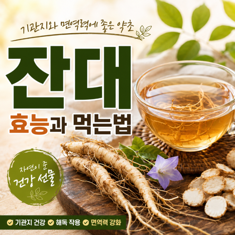 기관지와 면역력에 좋은 약초, 잔대효능과 먹는 법