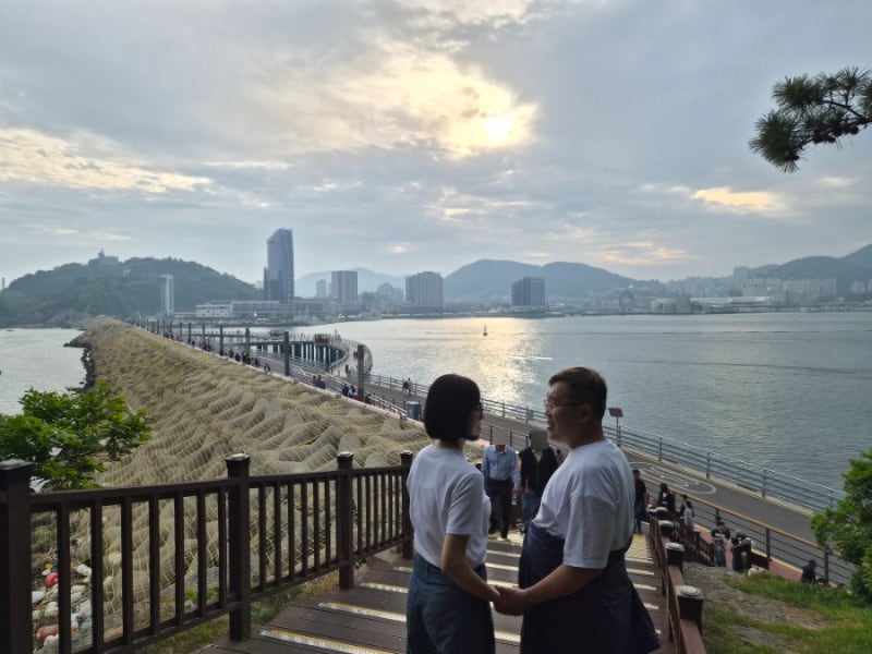 麗水梧桐島：入場料からアクセスまで、両親と行った癒しの旅レビュー
