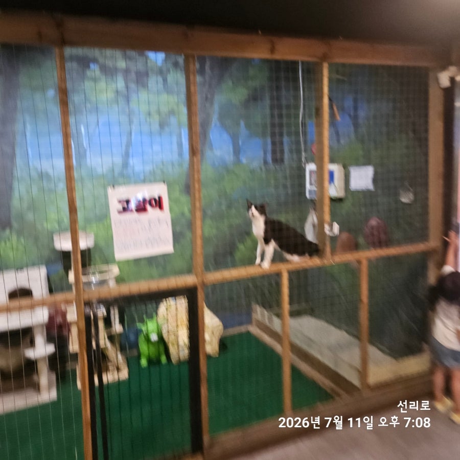 오산별빛터널바베큐 사진 6