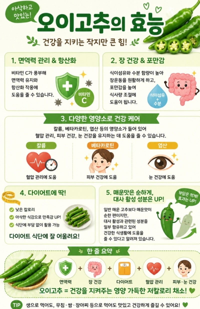 오이고추 된장무침 아삭이고추요리 레시피