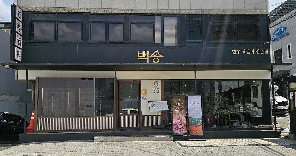 청담 백송 사진 1