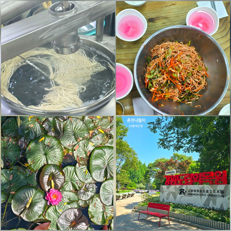 강원특별자치도립화목원 사진 1