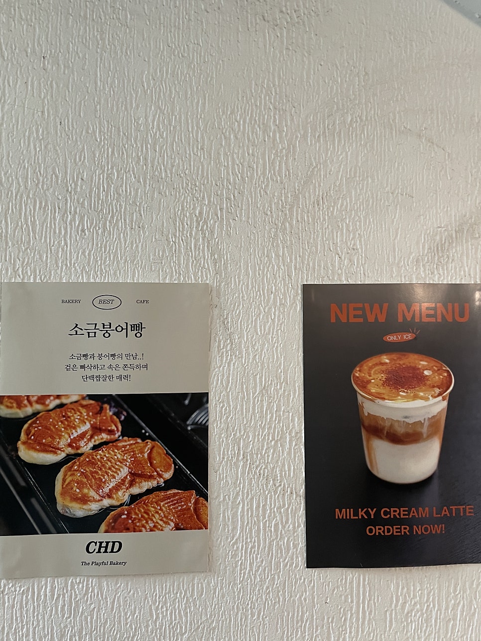 차일디쉬 사진 4