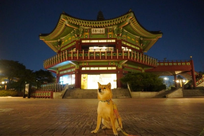 서울 경기도 서울근교 야간 드라이브 코스 추천 여름 밤에 떠나요