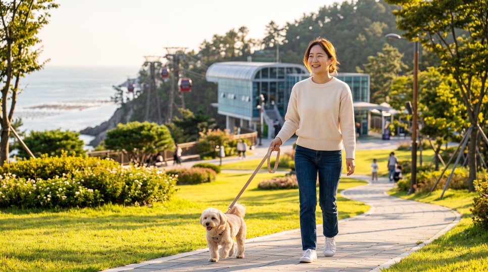춘천삼악산호수케이블카 사진 6