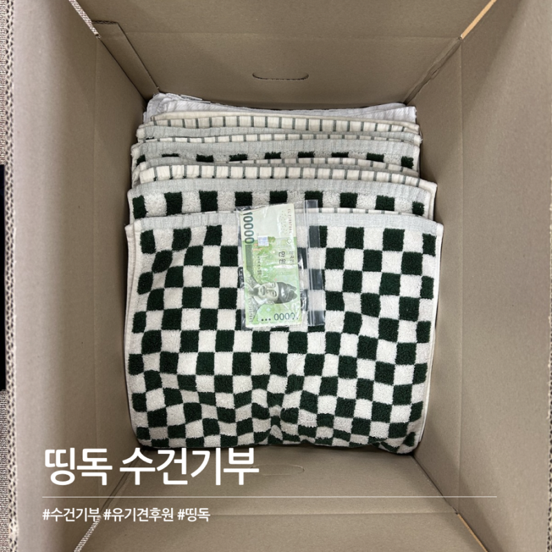 유기견 수건 기부 방법 띵독 유기견보호소 기부 후기