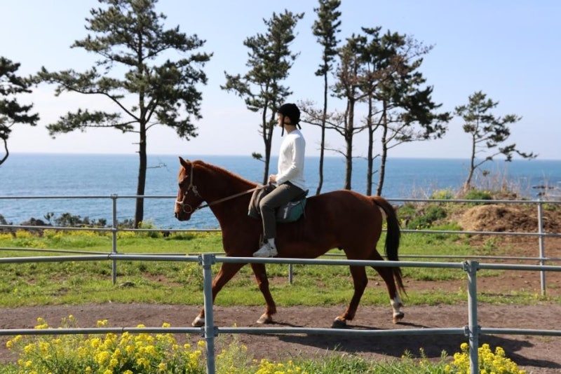 제주여행 승마체험, 바다에서도 숲에서도 탈 수 있다고? (제주 승마체험장 정리)
