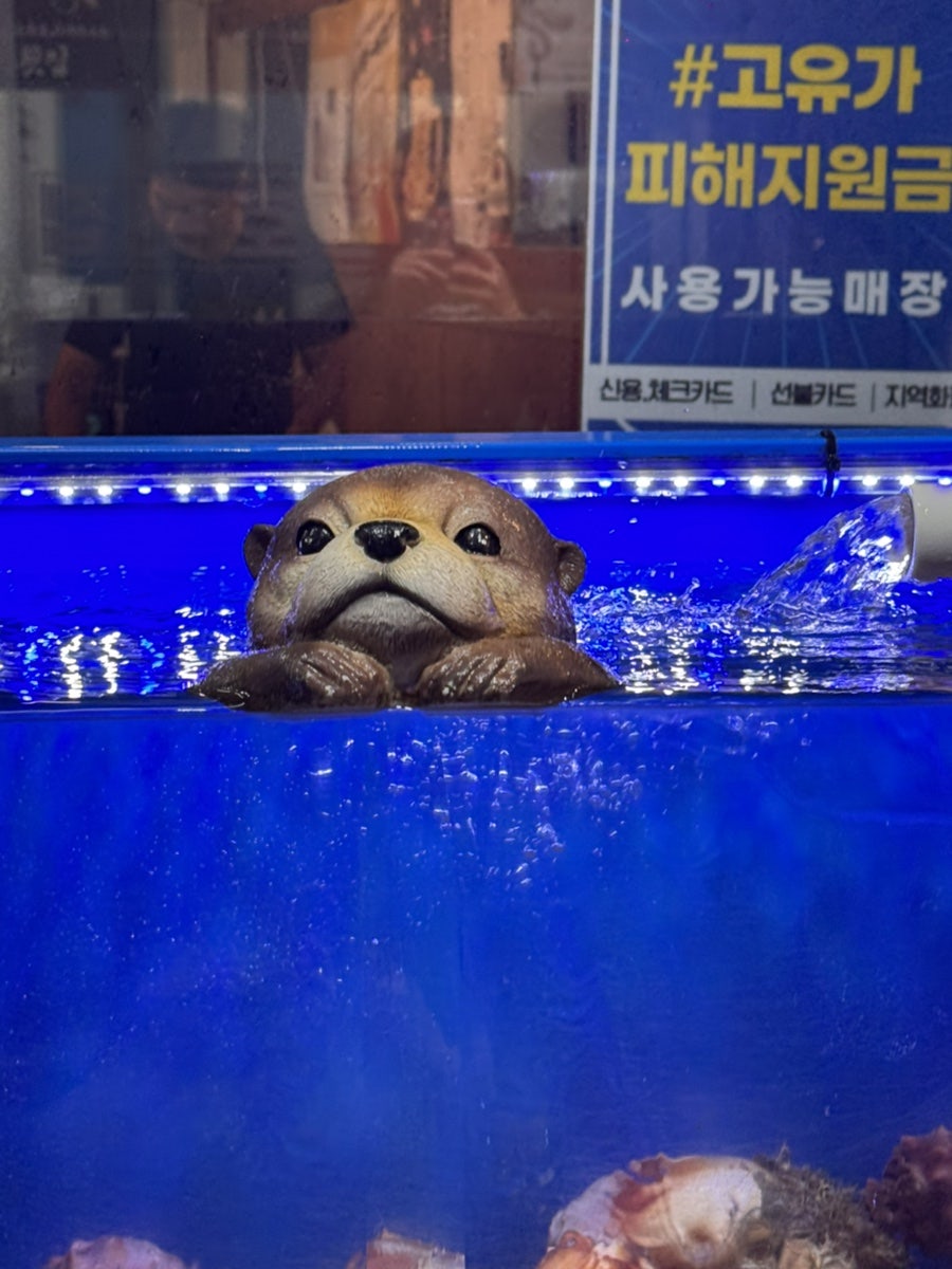 용호횟집 사진 3