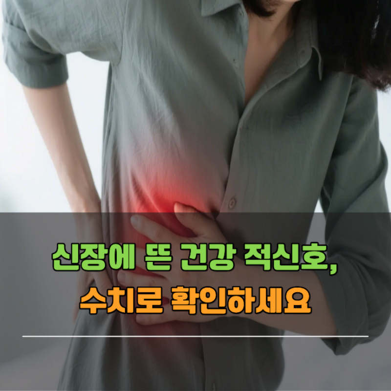 크레아티닌 수치 사구체여과율, 함께 봐야 하는 이유
