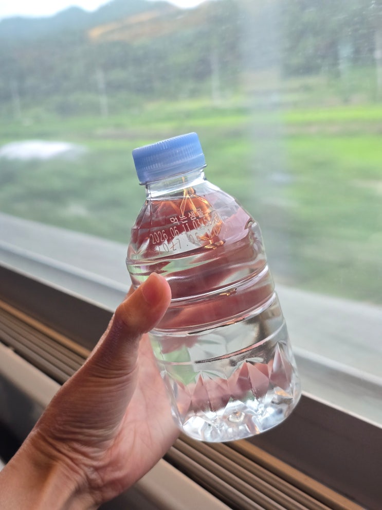 KTX 특실 얼마나 더 좋을까? 간식 생수 위치 KTX 할인 총정리!